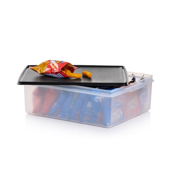 Tupper Ware Large Storage Tote