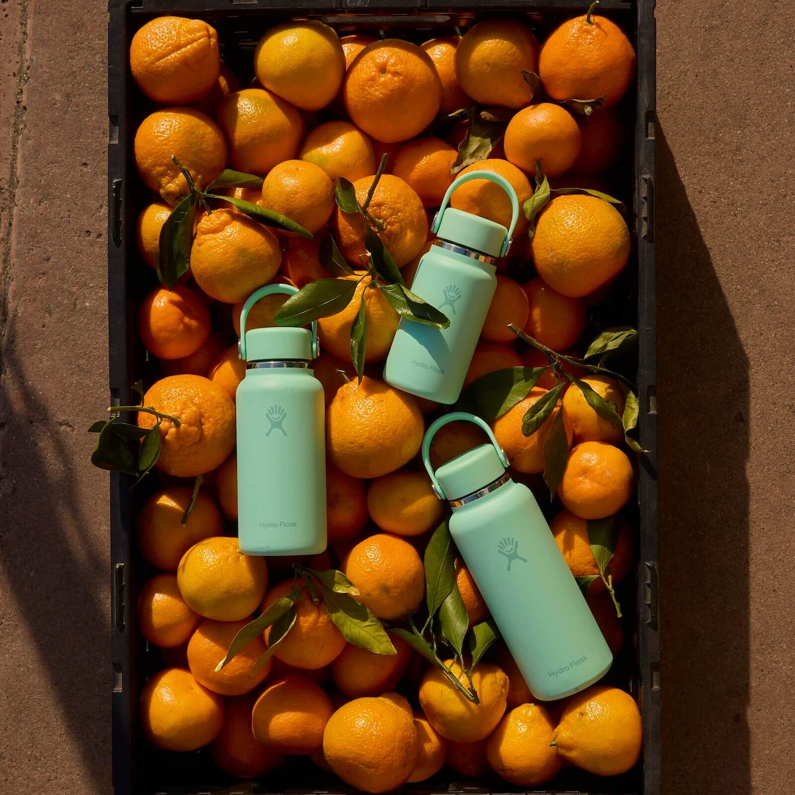 Hydro Flask Micro Hydro 300 mL - Image 81