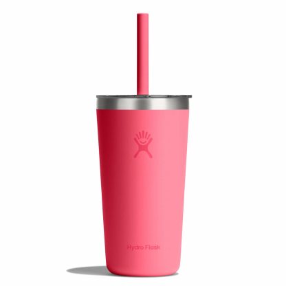 Hydro Flask 20 oz All Around™ Tumbler with Straw Lid